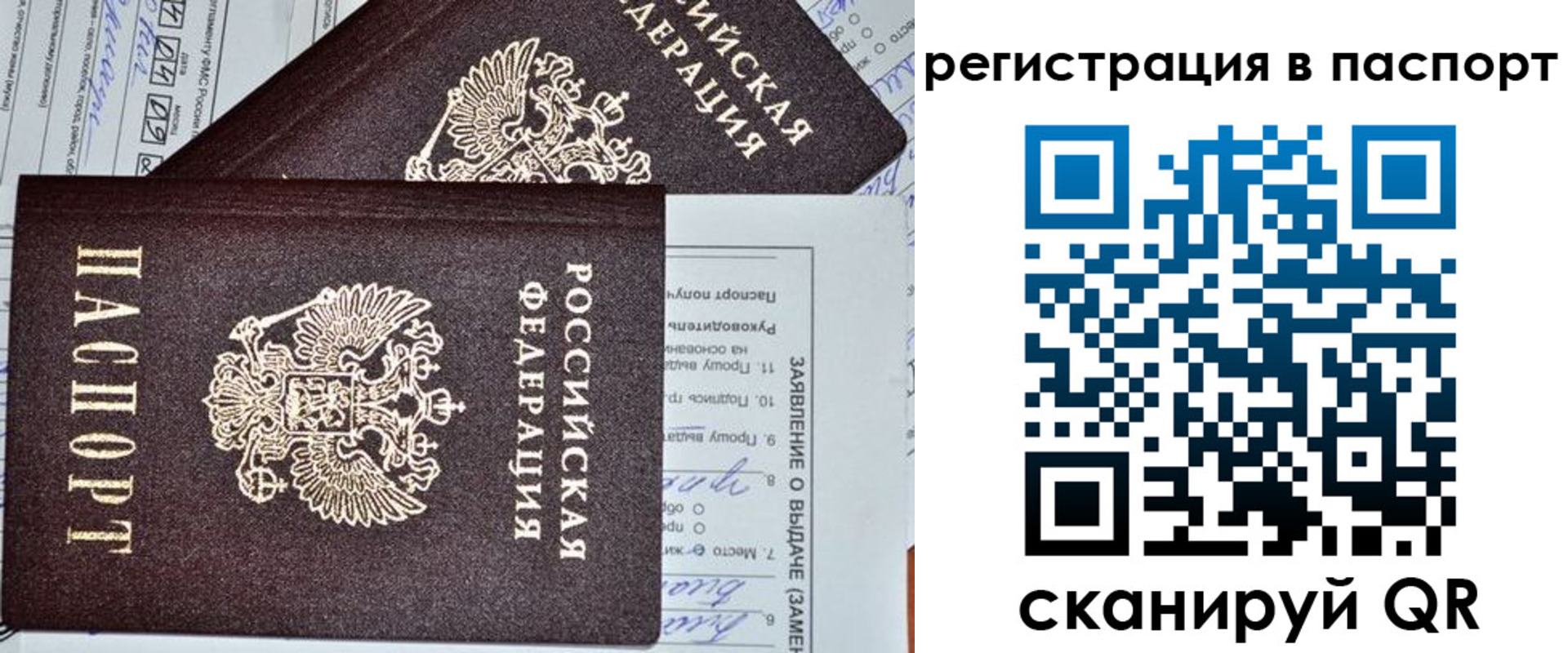 прописка законно в Чкаловске